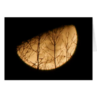 Paysage lunaire
