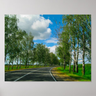 Paysage naturel Route rurale Biélorussie Poster