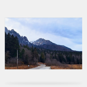 Paysage Scénique de la Route Forestière Nature Sau