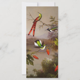 Paysage tropical avec la carte des dix colibris