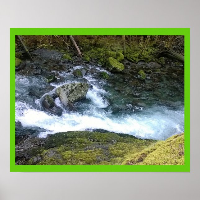 Pazifik Nordwest-Rushwasser Poster (Vorne)
