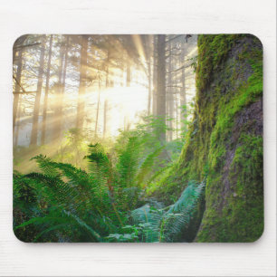 Pazifikküstenwald, Oregon Mousepad