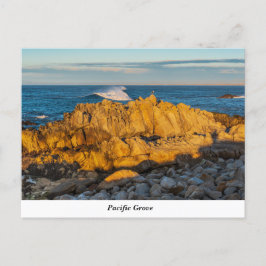 Pazifische Grove Postkarte