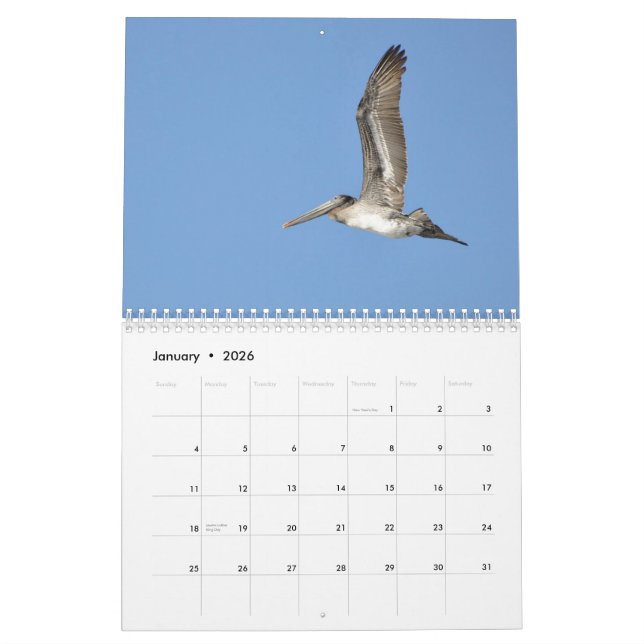 Pazifische Nordwestvögel Kalender (Jan 2026)