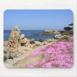 Pazifische Waldung Mousepad