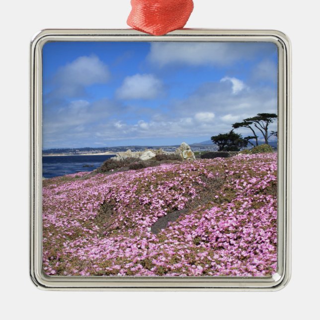 Pazifische Waldungs-lila Teppich Silbernes Ornament (Vorne)