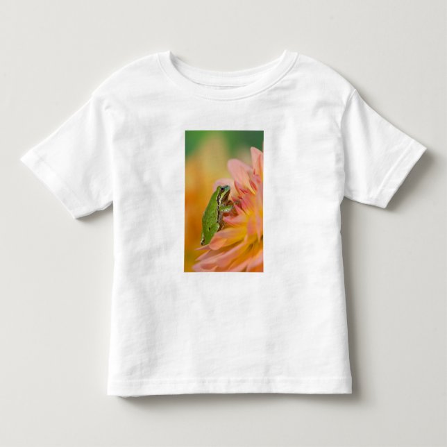 Pazifischer Baumfrosch auf Blume in unserem Garten Kleinkind T-shirt (Vorderseite)