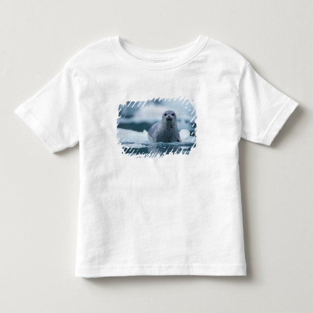 Pazifischer Hafen Siegel, Phoca vitulina richardsi Kleinkind T-shirt (Vorderseite)