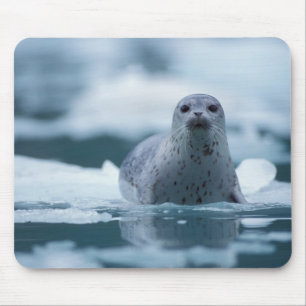 Pazifischer Hafen Siegel, Phoca vitulina richardsi Mousepad