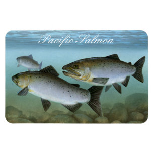 Pazifischer Lachs-Gemälde Magnet