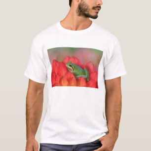 Pazifischer Laubfrosch auf Blumen im Garten T-Shirt