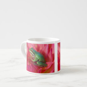 Pazifischer Laubfrosch auf Blumen in unserem Garte Espressotasse