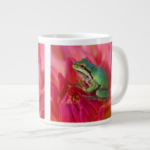 Pazifischer Laubfrosch auf Blumen in unserem Garte Jumbo-Tasse