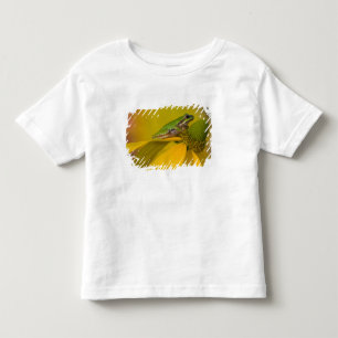 Pazifischer Laubfrosch auf Blumen in unserem Garte Kleinkind T-shirt