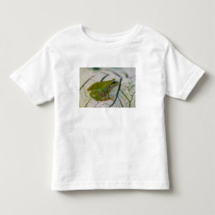 Pazifischer Laubfrosch auf Blumen in unserem Garte Kleinkind T-shirt