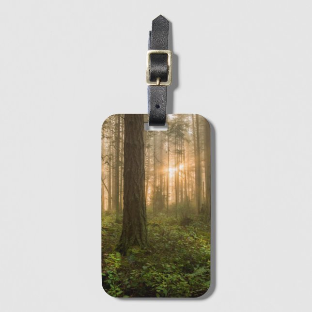 Pazifischer Nordwestnebeliger Morgen des wald| Gepäckanhänger (Vorderseite Vertikal)