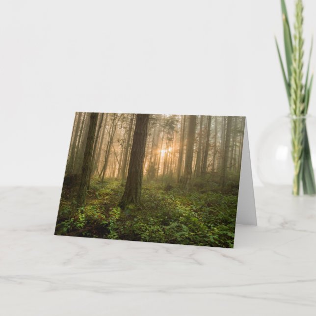 Pazifischer Nordwestnebeliger Morgen des wald| Karte (Vorderseite)