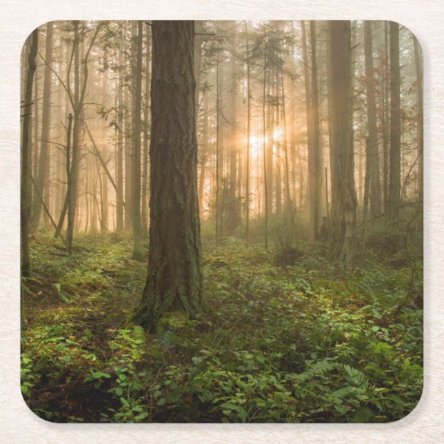 Pazifischer Nordwestnebeliger Morgen des wald| Rechteckiger Pappuntersetzer (Vorderseite)