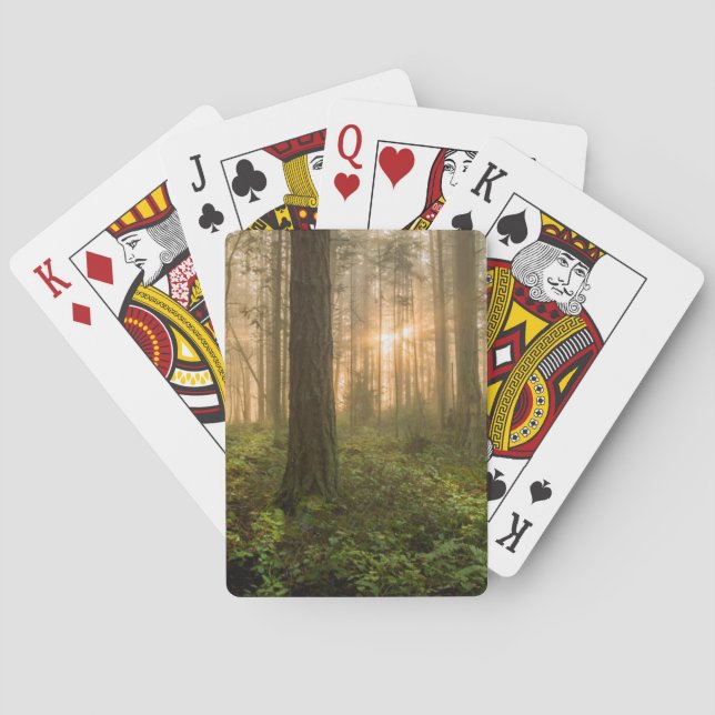 Pazifischer Nordwestnebeliger Morgen des wald| Spielkarten (Rückseite)