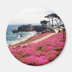 Pazifischer Waldung-Monterey Calif Magnet