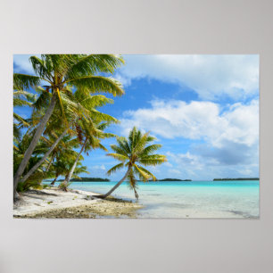 Pazifisches Palmenstrand-Poster Poster
