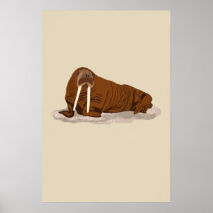 Pazifisches Walroß Poster