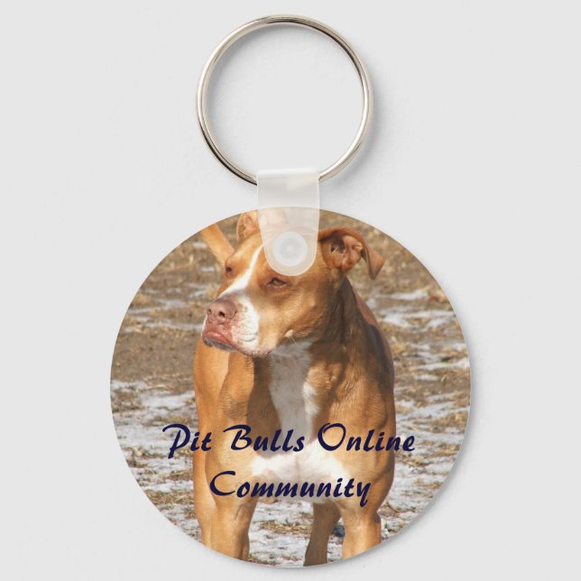 PBOC-Schlüsselkette Schlüsselanhänger (Vorderseite)