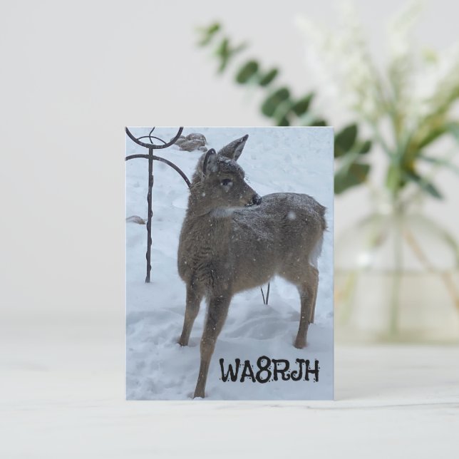 PC hiver cerf de bébé Ham Op radio amateur carte q (Debout devant)