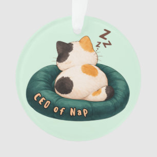 "PDG de Nap" Chat endormi sur le canapé