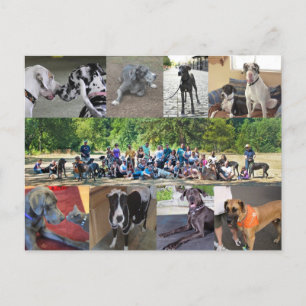 PDXDanes Postcard Postkarte