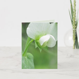 Pea Blossoms benutzerdefinierte Notizkarte oder Gr Karte