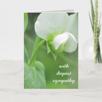 Pea Blüten Beileid Template Grußkarte
