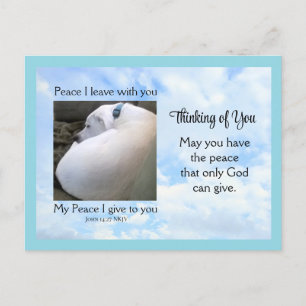 Peace Bible Verse Dog Foto in Cloudy Blue Sky Feiertagspostkarte