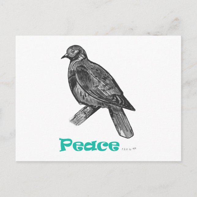 Peace Dove Postcard Postkarte (Vorderseite)