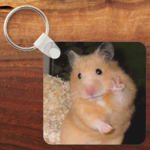 Peace + erschrecktes Hamster Meme Doppelseitiger S Schlüsselanhänger