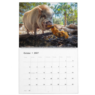 Peace Farm Sanctuary 2027 Kalender