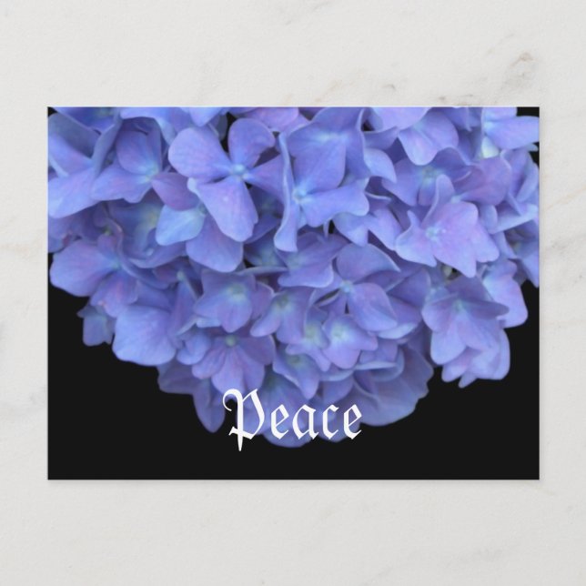 Peace Floral Postkarte (Vorderseite)