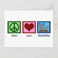 Peace Liebe Chinchillas