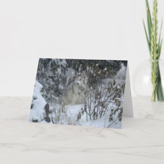 Peace Liebe Jog Dog Weihnachtskarte Feiertagskarte