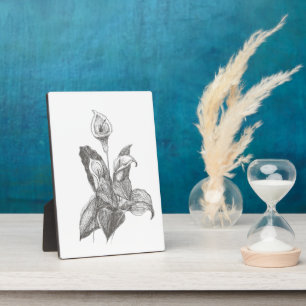 Peace Lily Fine Art Zeichnend Fotoplatte