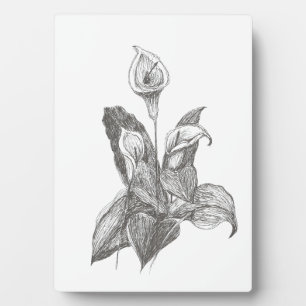 Peace Lily Fine Art Zeichnend Fotoplatte