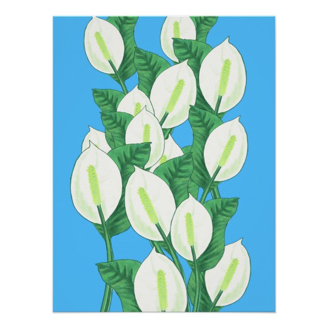 Peace Lily Illustration Poster (Vorderseite)