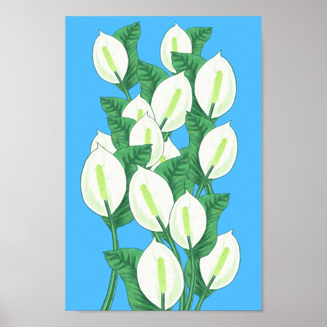 Peace Lily Illustration Poster (Vorne)
