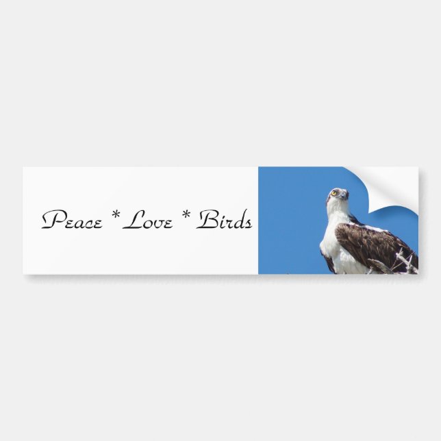 Peace Love Birds Autoaufkleber (Vorne)
