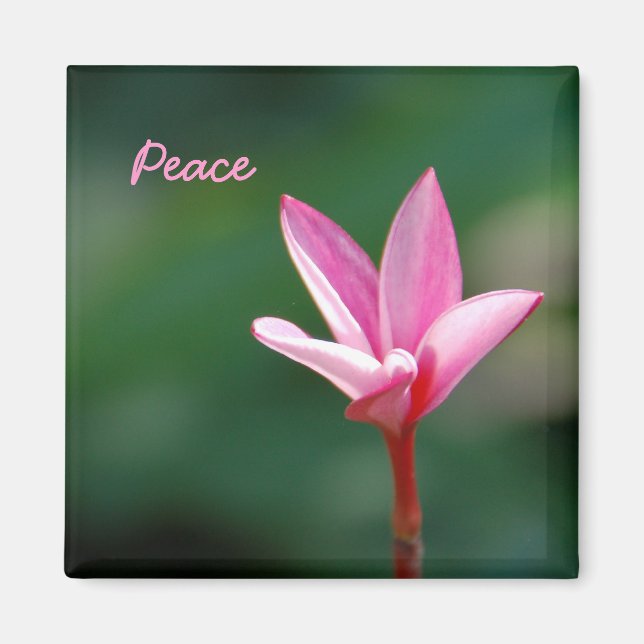 Peace Magnet (Vorne)