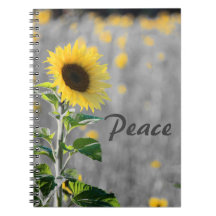 "Peace" Phrase, Feld der Sonnenblumen, Schwarz & W