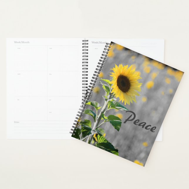 "Peace" Phrase, Feld der Sonnenblumen, Schwarz & W Planer (Anzeige)