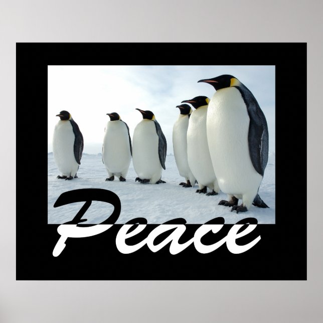 Peace Poster (Vorne)