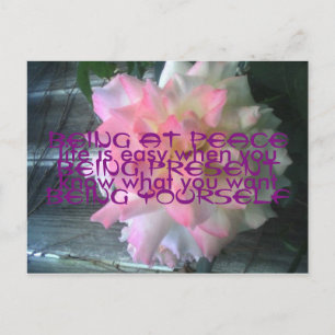 Peace Rose Postcard Postkarte