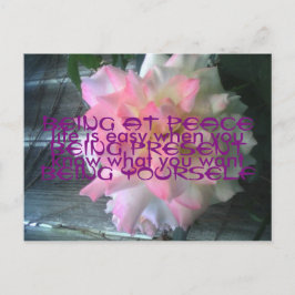 Peace Rose Postcard Postkarte